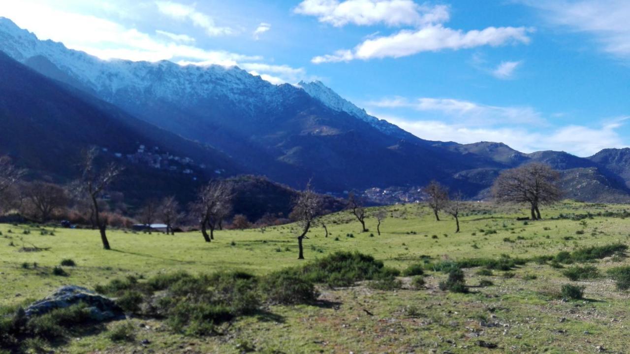Appartement Raffine A Feliceto 120 M² Avec Vue Sur Montagne ภายนอก รูปภาพ