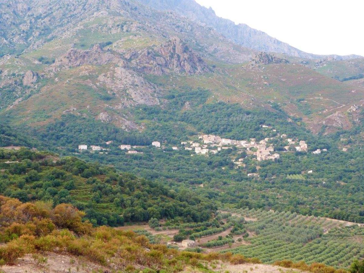 Appartement Raffine A Feliceto 120 M² Avec Vue Sur Montagne ภายนอก รูปภาพ